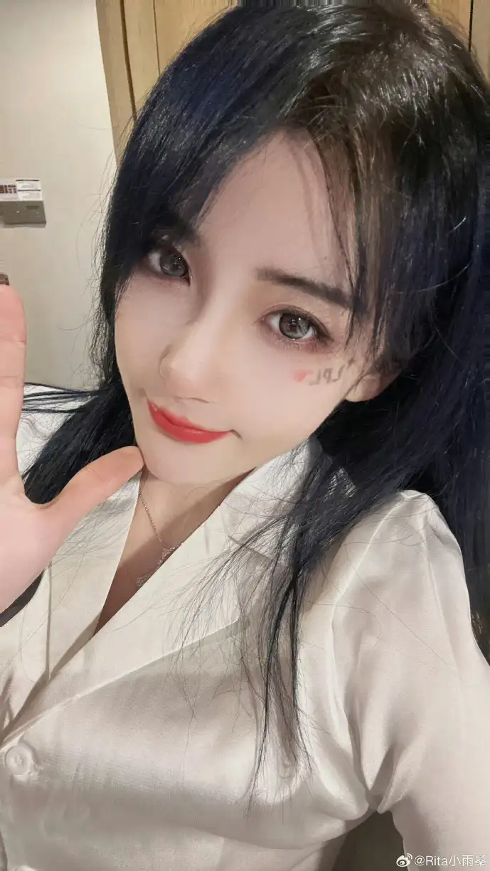 种子下载流程示意图